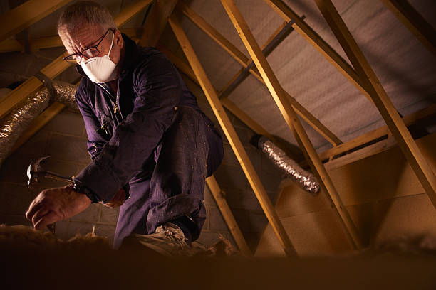 Best Attic Insulation Installation  in Alto, TX